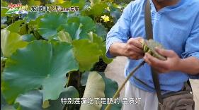 龙润丰（英文站）